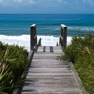 Bay Access (Free)
