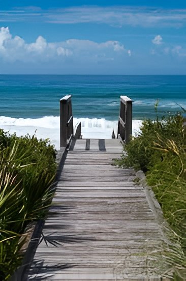Bay Access (Free)