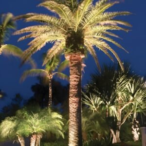 Bay Spotlight  ($50/monthly)