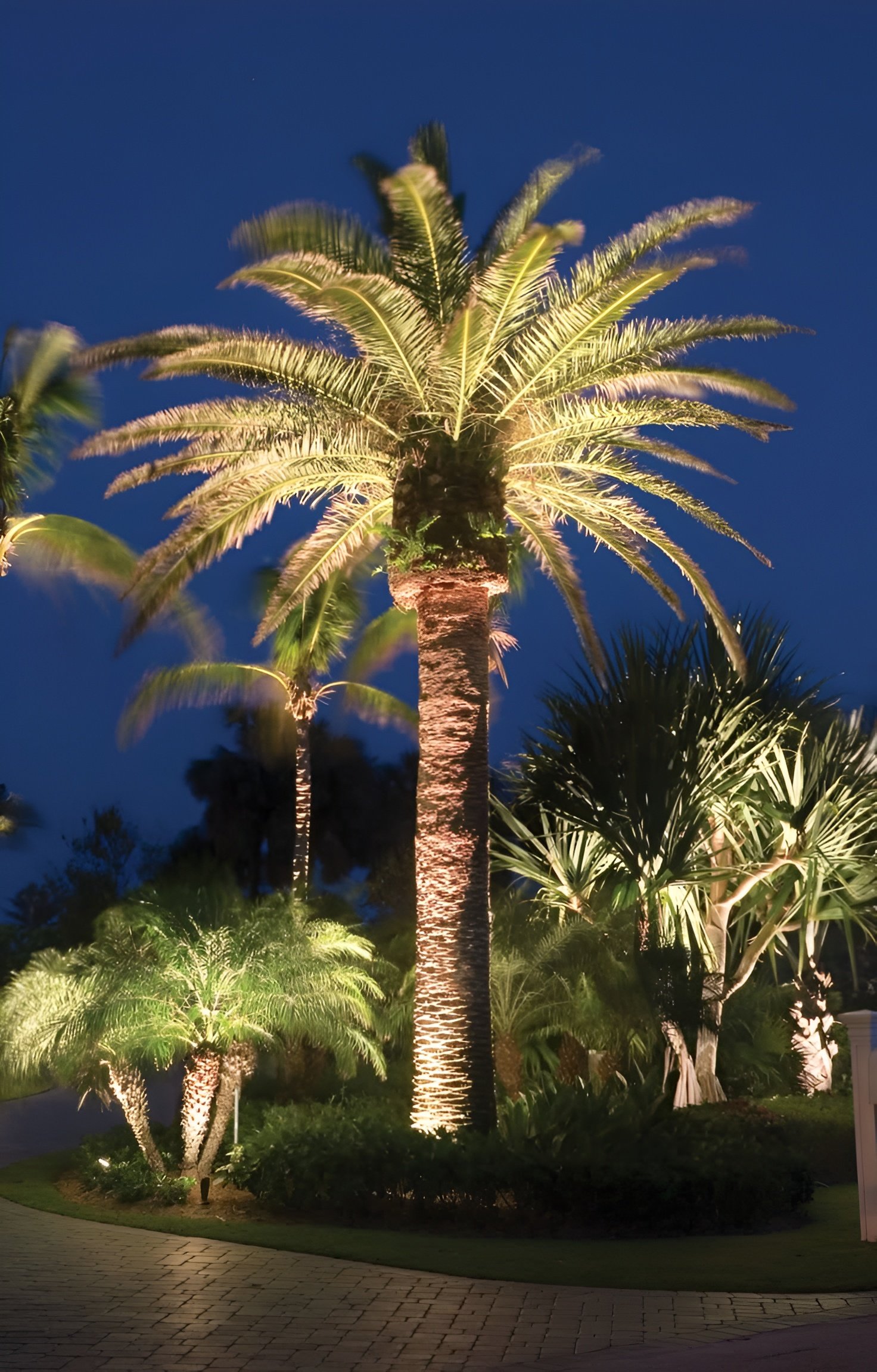 Bay Spotlight  ($50/monthly)